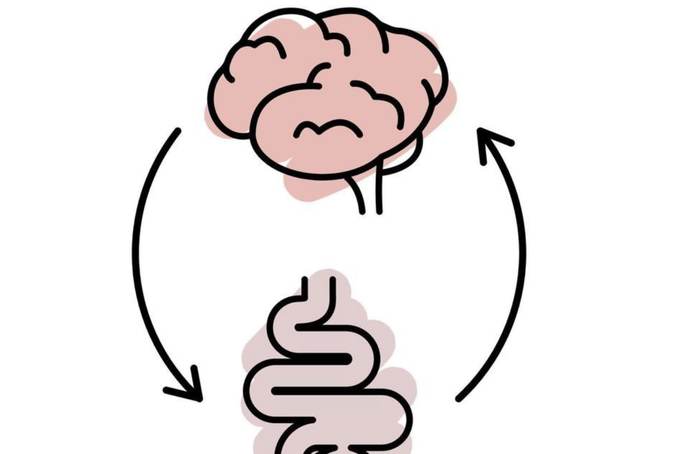 Atelier douleurs chroniques et microbiote à L'Isle-Jourdain